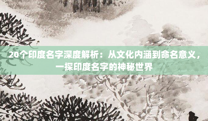 20个印度名字深度解析：从文化内涵到命名意义，一探印度名字的神秘世界