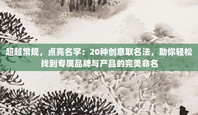 超越常规，点亮名字：20种创意取名法，助你轻松找到专属品牌与产品的完美命名