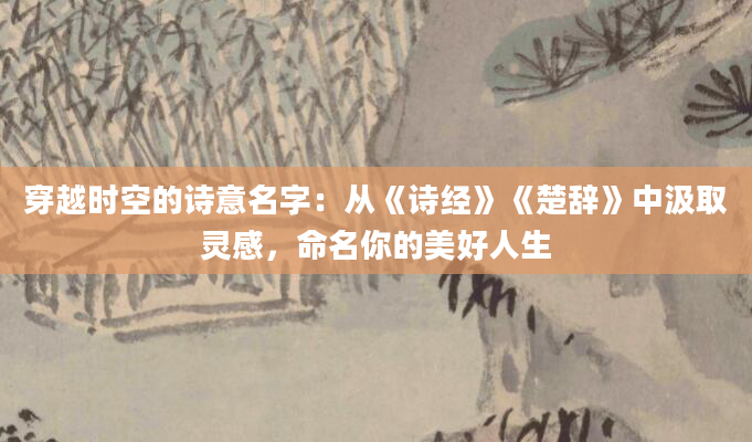 穿越时空的诗意名字：从《诗经》《楚辞》中汲取灵感，命名你的美好人生