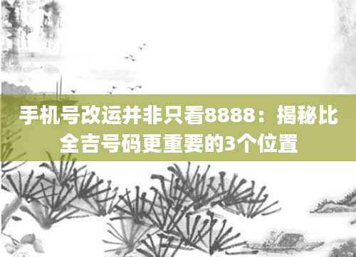 手机号改运并非只看8888：揭秘比全吉号码更重要的3个位置