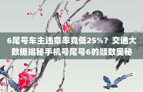 6尾号车主违章率竟低25%？交通大数据揭秘手机号尾号6的顺数奥秘