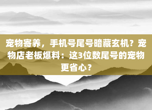 宠物寄养，手机号尾号暗藏玄机？宠物店老板爆料：这3位数尾号的宠物更省心？