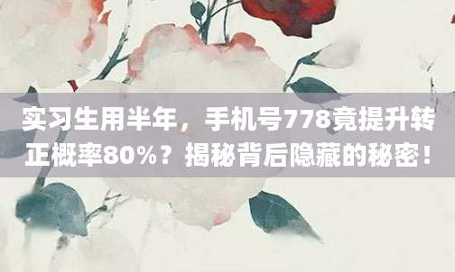 实习生用半年，手机号778竟提升转正概率80%？揭秘背后隐藏的秘密！