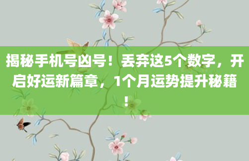 揭秘手机号凶号！丢弃这5个数字，开启好运新篇章，1个月运势提升秘籍！
