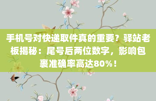 手机号对快递取件真的重要？驿站老板揭秘：尾号后两位数字，影响包裹准确率高达80%！