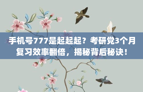 手机号777是起起起？考研党3个月复习效率翻倍，揭秘背后秘诀！