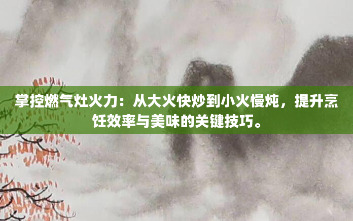 掌控燃气灶火力：从大火快炒到小火慢炖，提升烹饪效率与美味的关键技巧。