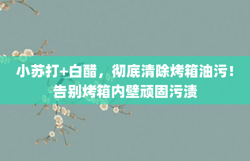 小苏打+白醋，彻底清除烤箱油污！告别烤箱内壁顽固污渍
