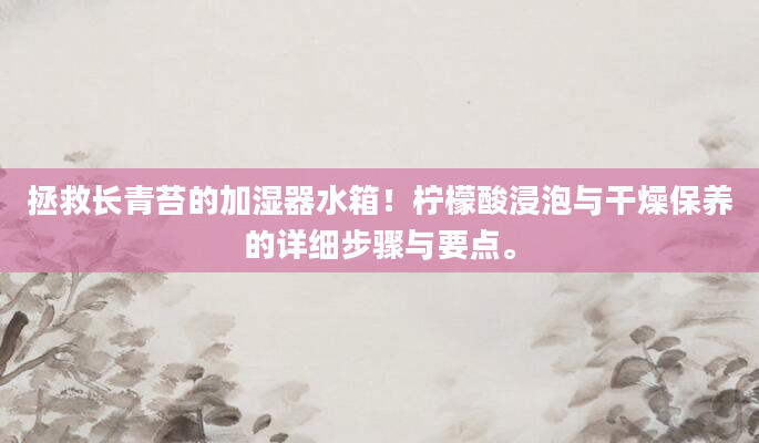 拯救长青苔的加湿器水箱！柠檬酸浸泡与干燥保养的详细步骤与要点。