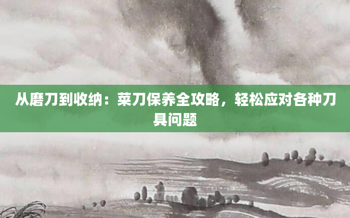 从磨刀到收纳：菜刀保养全攻略，轻松应对各种刀具问题
