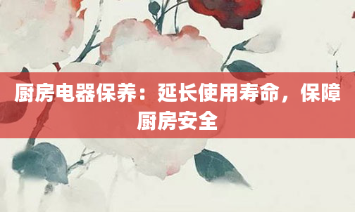 厨房电器保养：延长使用寿命，保障厨房安全