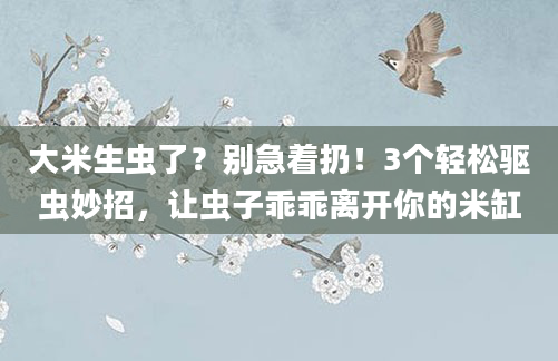 大米生虫了？别急着扔！3个轻松驱虫妙招，让虫子乖乖离开你的米缸