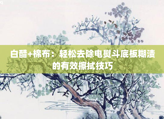 白醋+棉布：轻松去除电熨斗底板糊渍的有效擦拭技巧