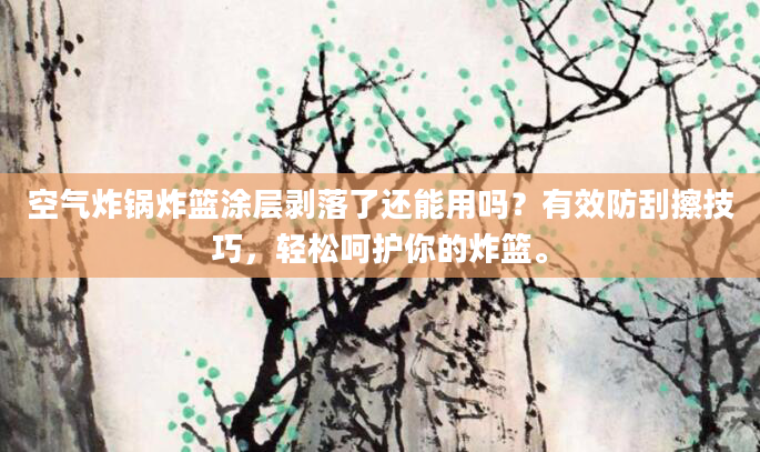 空气炸锅炸篮涂层剥落了还能用吗？有效防刮擦技巧，轻松呵护你的炸篮。