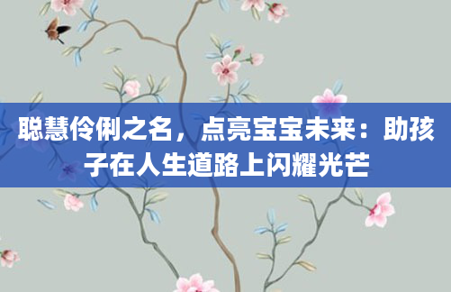 聪慧伶俐之名，点亮宝宝未来：助孩子在人生道路上闪耀光芒