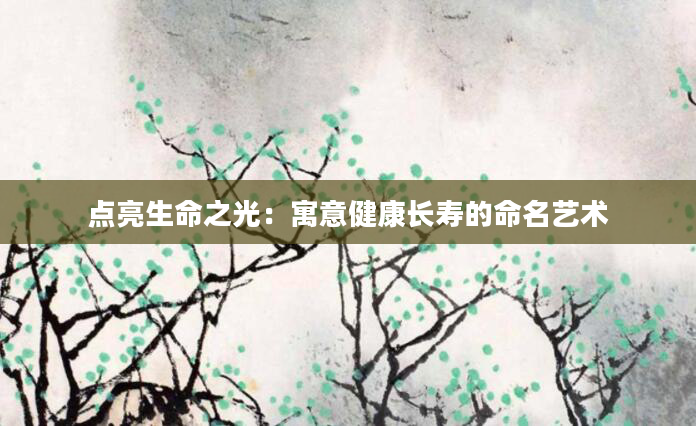 点亮生命之光：寓意健康长寿的命名艺术