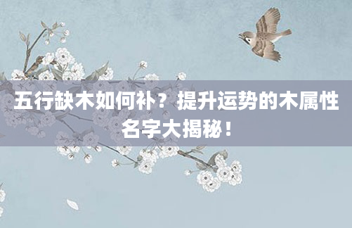 五行缺木如何补？提升运势的木属性名字大揭秘！