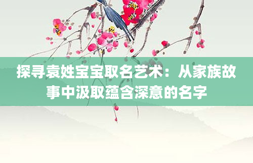 探寻袁姓宝宝取名艺术：从家族故事中汲取蕴含深意的名字