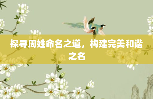 探寻周姓命名之道，构建完美和谐之名