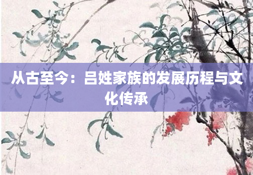 从古至今：吕姓家族的发展历程与文化传承