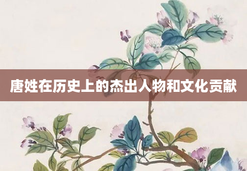 唐姓在历史上的杰出人物和文化贡献