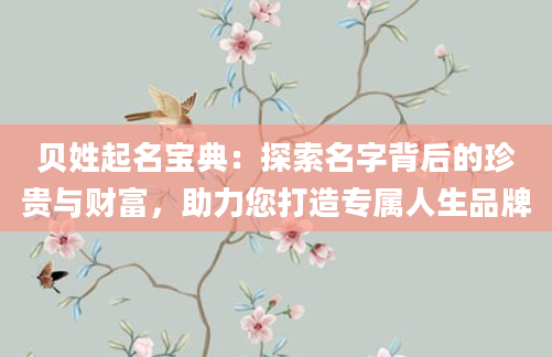 贝姓起名宝典：探索名字背后的珍贵与财富，助力您打造专属人生品牌