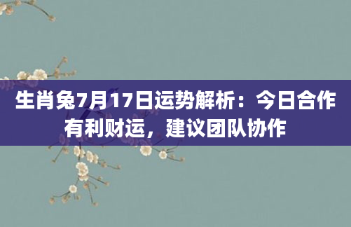 生肖兔7月17日运势解析：今日合作有利财运，建议团队协作