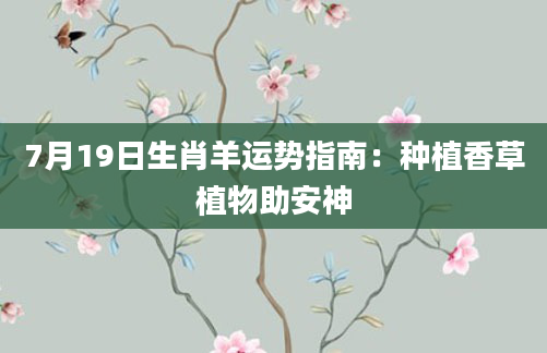 7月19日生肖羊运势指南：种植香草植物助安神