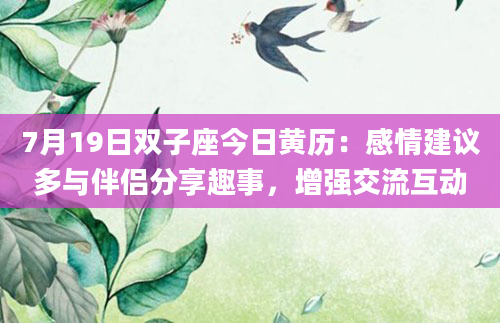 7月19日双子座今日黄历：感情建议多与伴侣分享趣事，增强交流互动