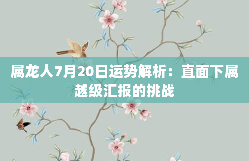 属龙人7月20日运势解析：直面下属越级汇报的挑战