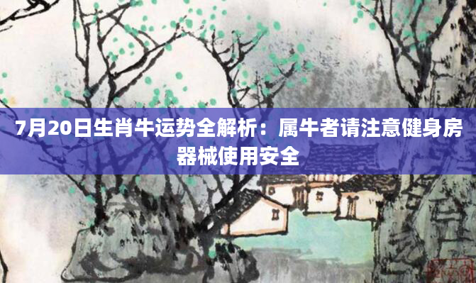 7月20日生肖牛运势全解析：属牛者请注意健身房器械使用安全