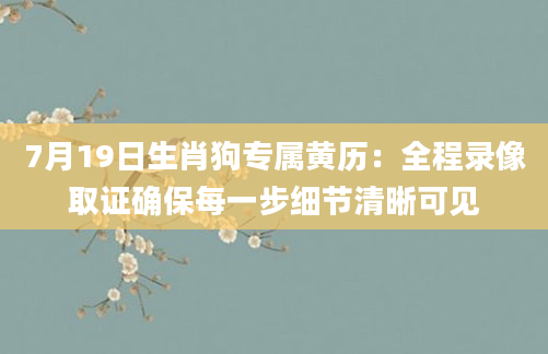 7月19日生肖狗专属黄历：全程录像取证确保每一步细节清晰可见
