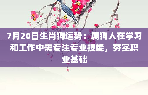7月20日生肖狗运势：属狗人在学习和工作中需专注专业技能，夯实职业基础