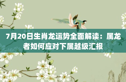7月20日生肖龙运势全面解读：属龙者如何应对下属越级汇报