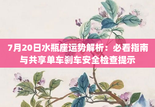 7月20日水瓶座运势解析：必看指南与共享单车刹车安全检查提示