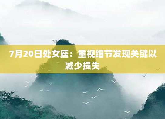 7月20日处女座：重视细节发现关键以减少损失