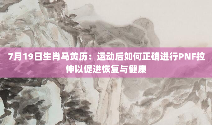 7月19日生肖马黄历：运动后如何正确进行PNF拉伸以促进恢复与健康