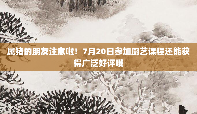 属猪的朋友注意啦！7月20日参加厨艺课程还能获得广泛好评哦
