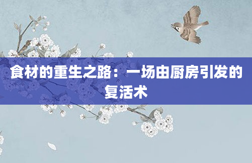 食材的重生之路：一场由厨房引发的复活术