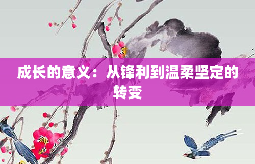 成长的意义：从锋利到温柔坚定的转变