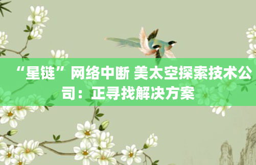 “星链”网络中断 美太空探索技术公司：正寻找解决方案