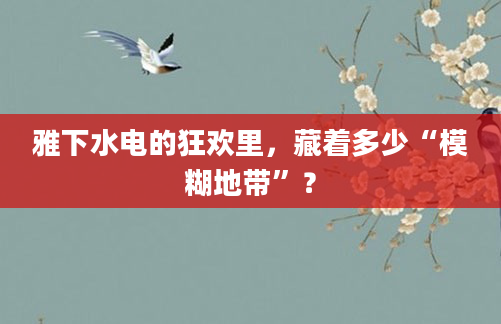 雅下水电的狂欢里，藏着多少“模糊地带”？