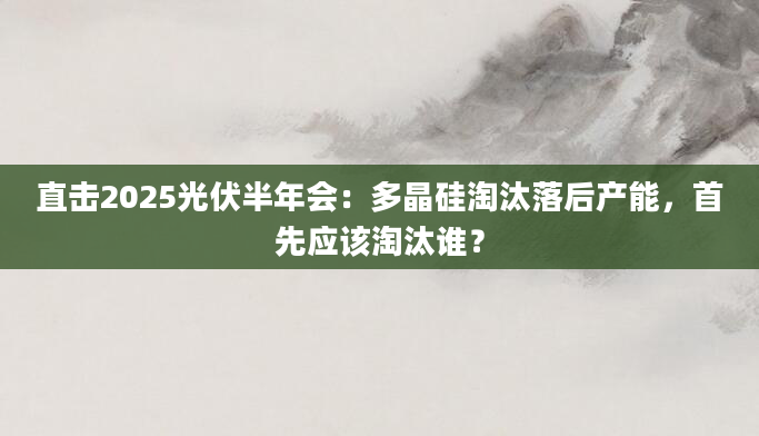 直击2025光伏半年会：多晶硅淘汰落后产能，首先应该淘汰谁？