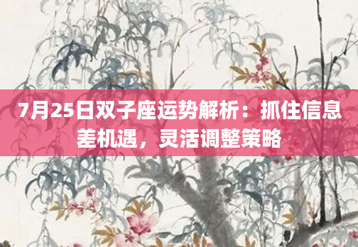 7月25日双子座运势解析：抓住信息差机遇，灵活调整策略