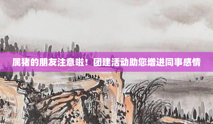 属猪的朋友注意啦！团建活动助您增进同事感情