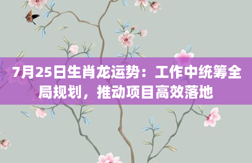 7月25日生肖龙运势：工作中统筹全局规划，推动项目高效落地