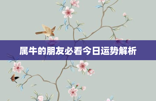 属牛的朋友必看今日运势解析