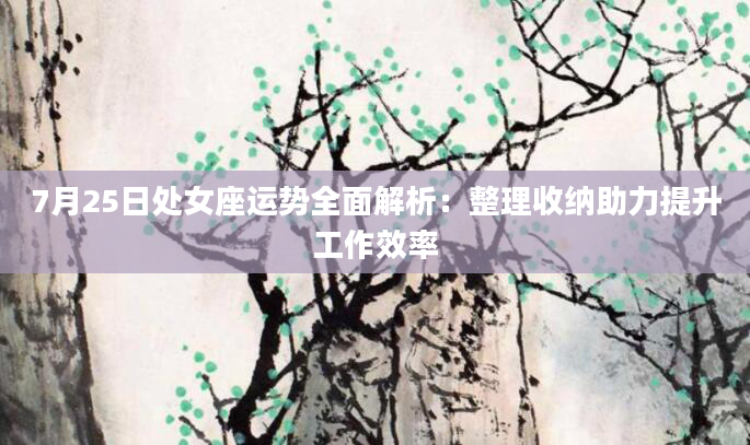 7月25日处女座运势全面解析：整理收纳助力提升工作效率