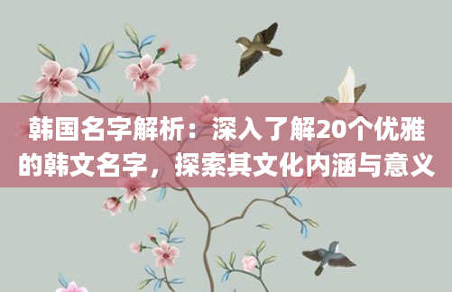 韩国名字解析：深入了解20个优雅的韩文名字，探索其文化内涵与意义