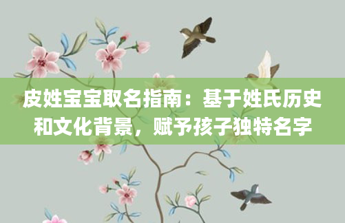 皮姓宝宝取名指南：基于姓氏历史和文化背景，赋予孩子独特名字